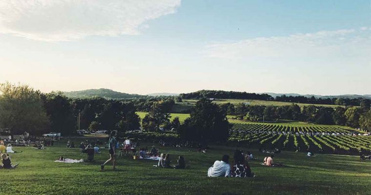 top things to do in nashville arrington vineyards featured